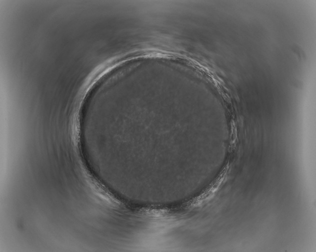 X0000112060247200908181204