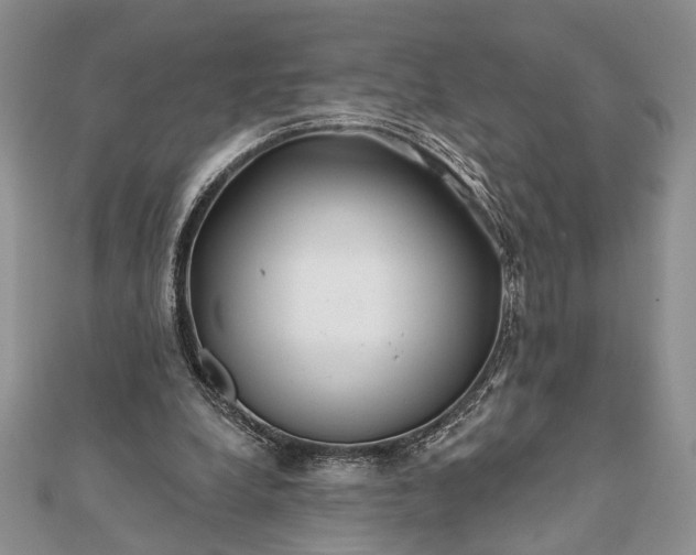 X0000112060248200908181204