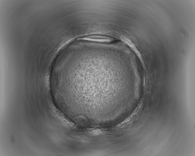 X0000112060249200908181204