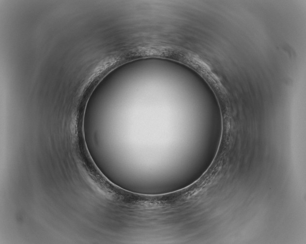 X0000112060250200908181204