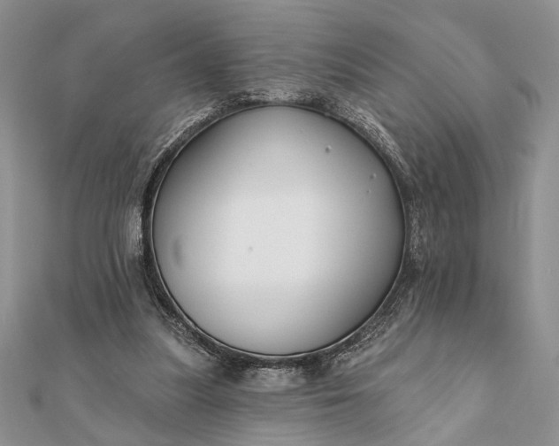 X0000112060251200908181204