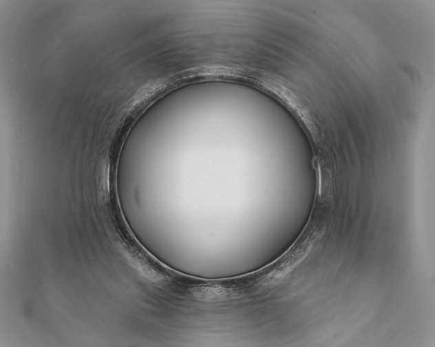 X0000112060253200908181204