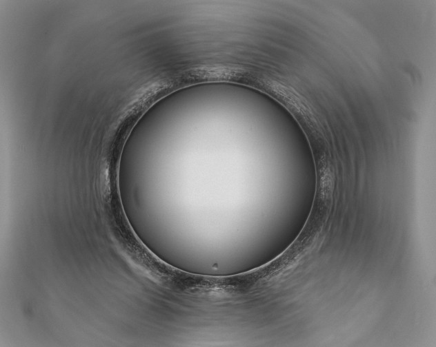 X0000112060254200908181204