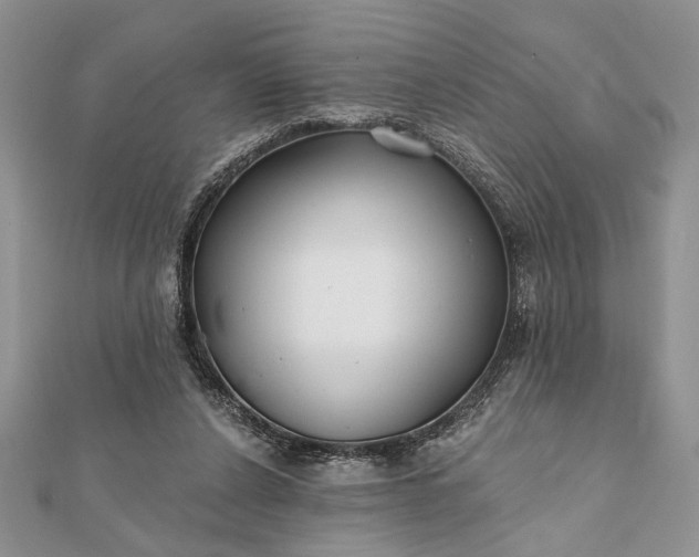 X0000112060256200908181204