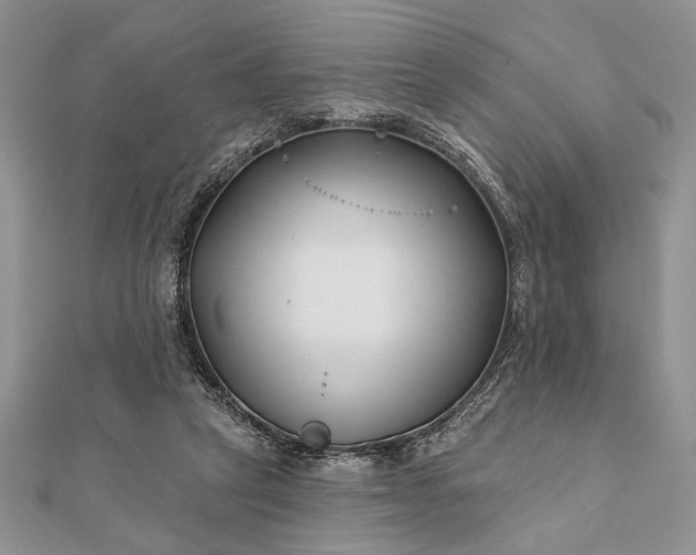 X0000112060257200908181204