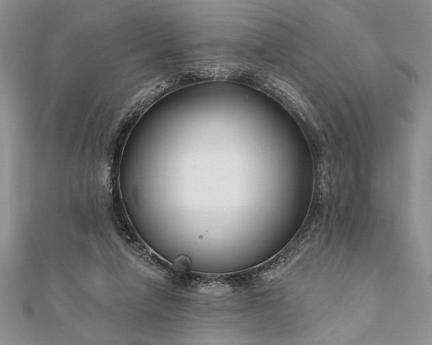 X0000112060258200908181204