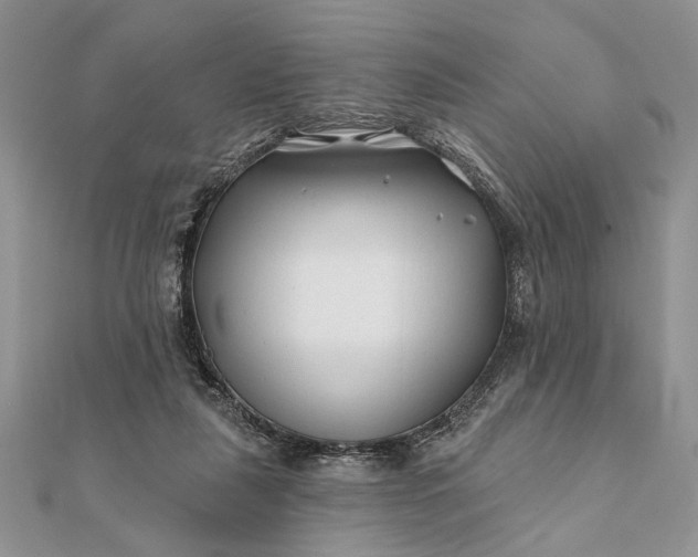 X0000112060259200908181204