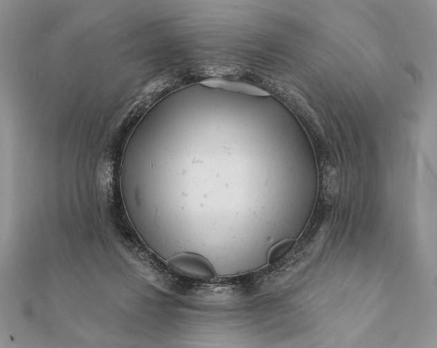 X0000112060260200908181204