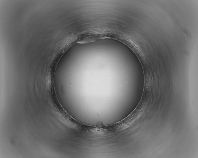 X0000112060261200908181204