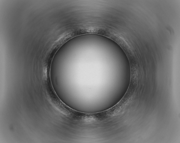 X0000112060262200908181204