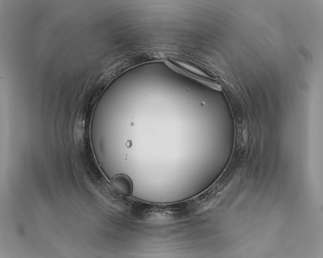 X0000112060263200908181204