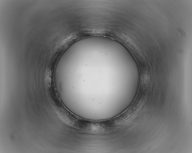 X0000112060264200908181204