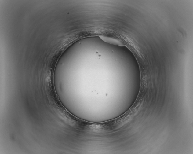 X0000112060265200908181204