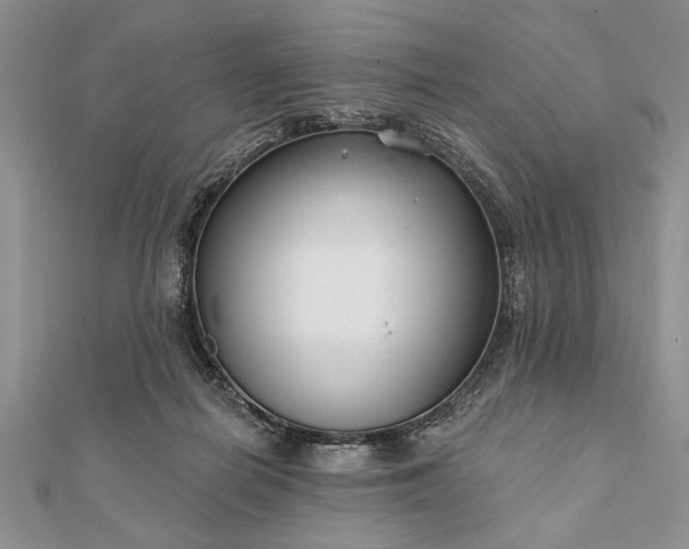 X0000112060266200908181204