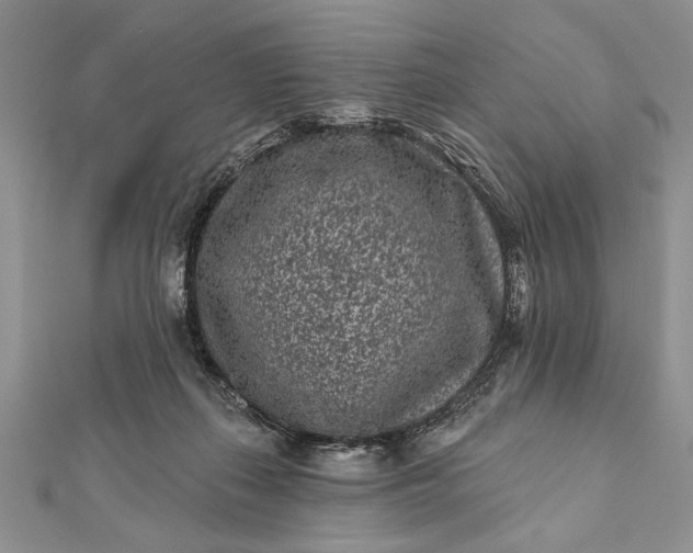 X0000112060267200908181204