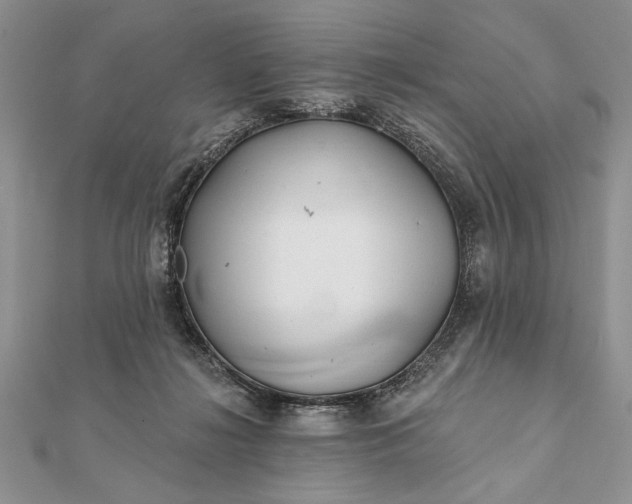 X0000112060268200908181204