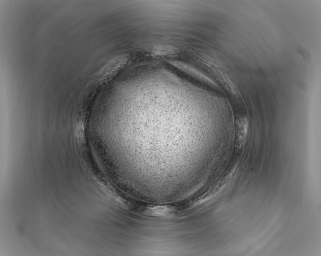 X0000112060269200908181204