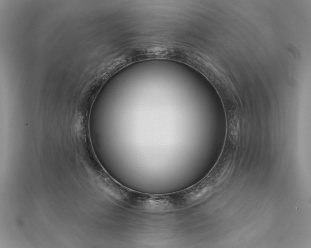 X0000112060270200908181204