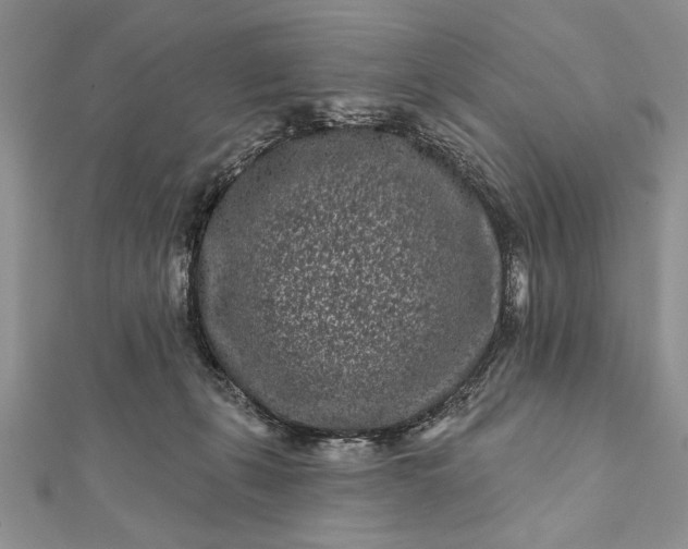 X0000112060271200908181204