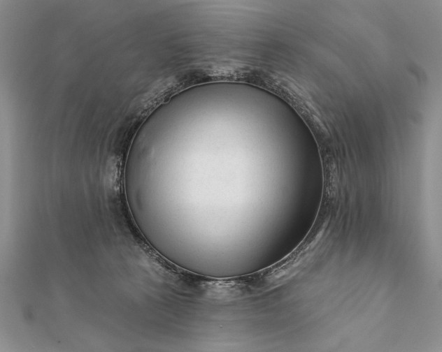 X0000112060273200908181204