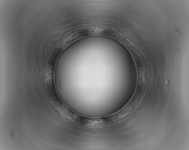 X0000112060274200908181204