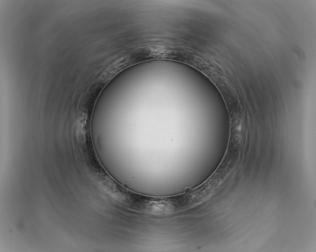 X0000112060275200908181204