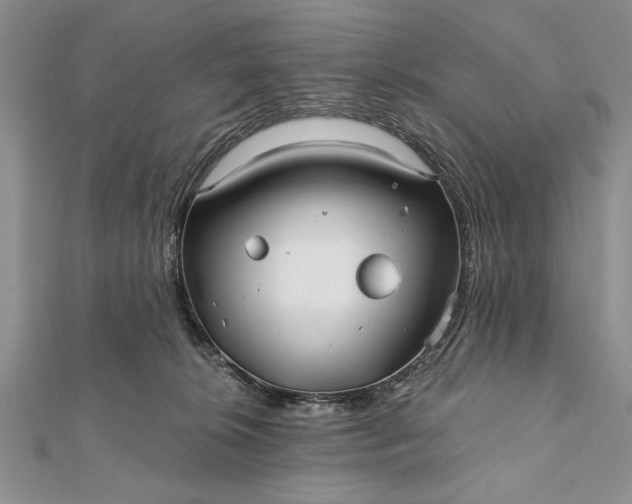 X0000112060276200908181205