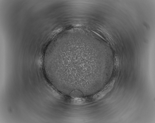 X0000112060277200908181205