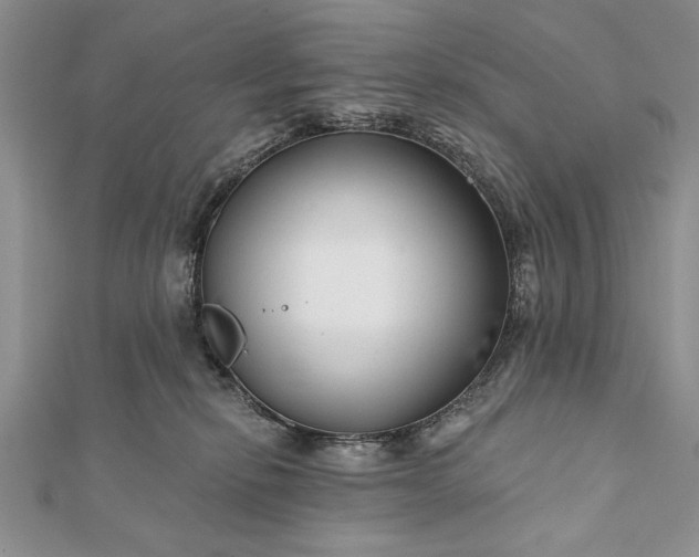 X0000112060278200908181205