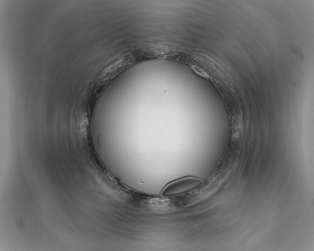 X0000112060279200908181205