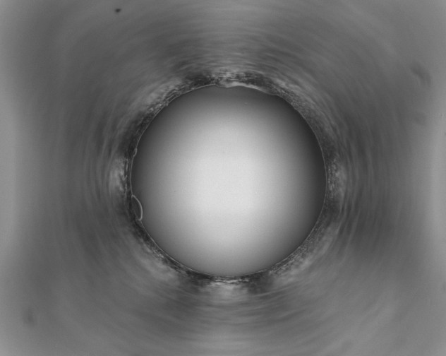 X0000112060280200908181205