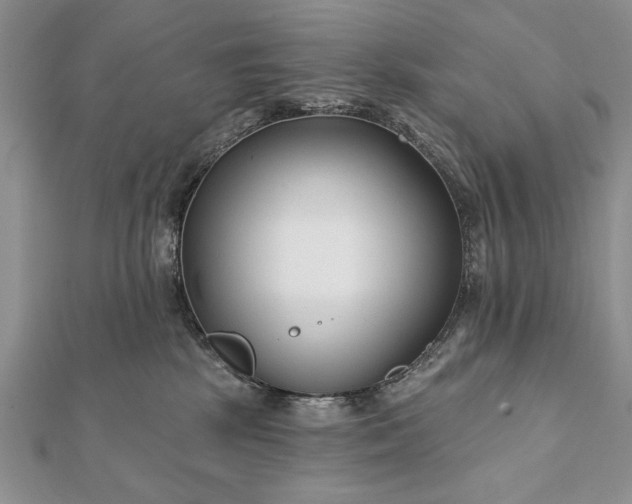 X0000112060281200908181205