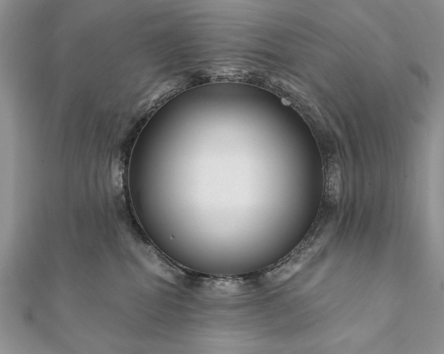 X0000112060282200908181205