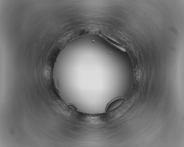 X0000112060283200908181205