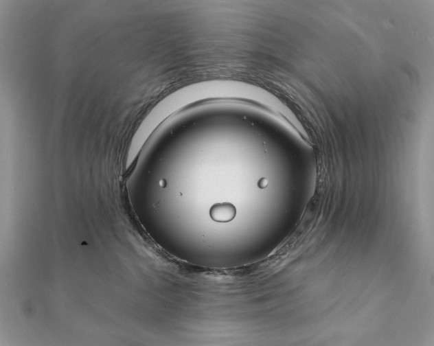 X0000112060284200908181205