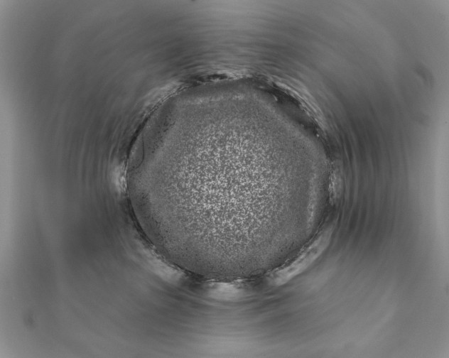 X0000112060285200908181205