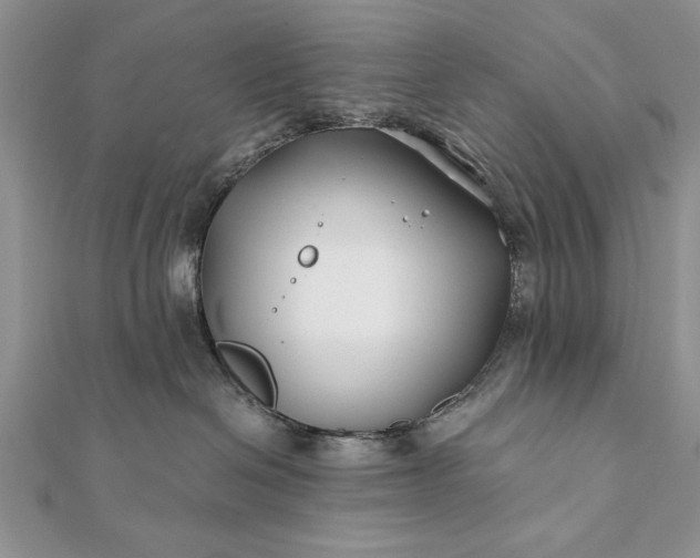 X0000112060286200908181205