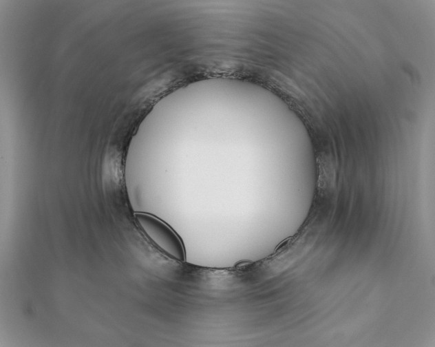 X0000112060287200908181205