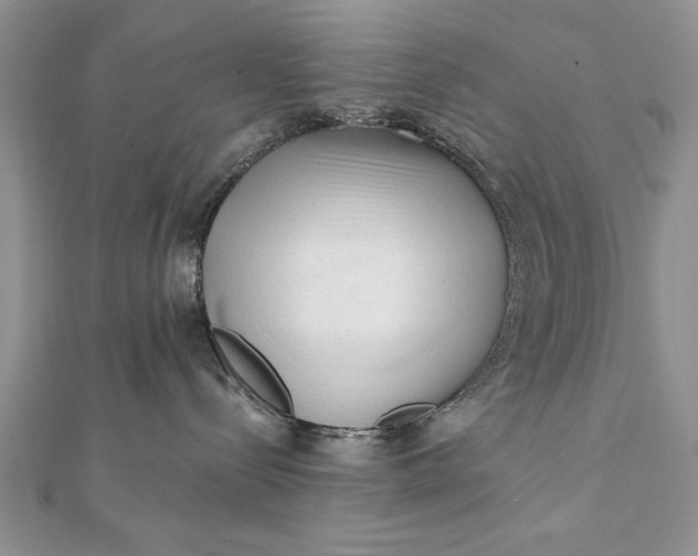 X0000112060288200908181205