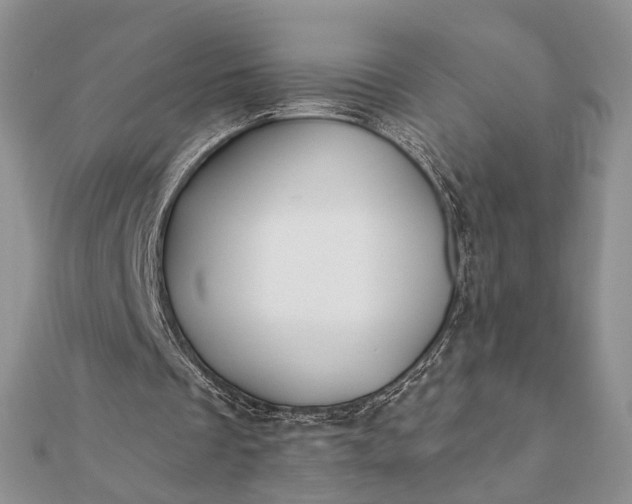 X0000112060289200908181204