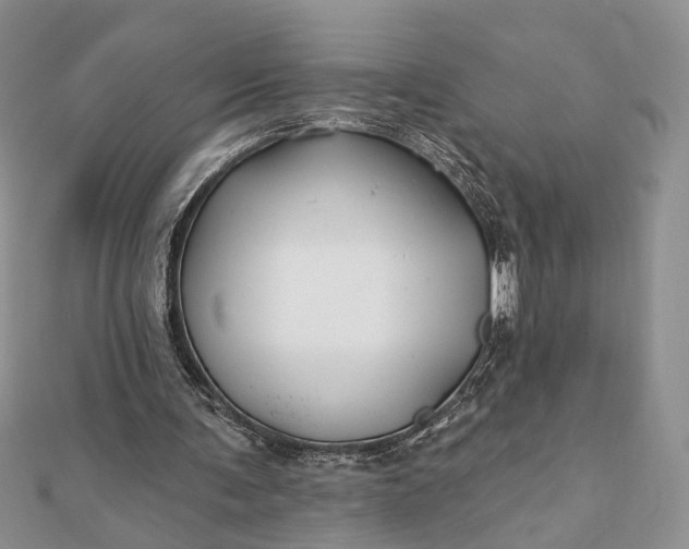 X0000112060291200908181204