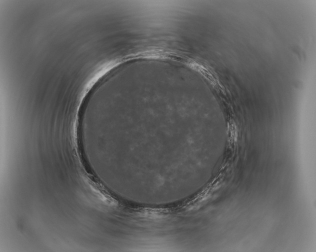 X0000112060292200908181204