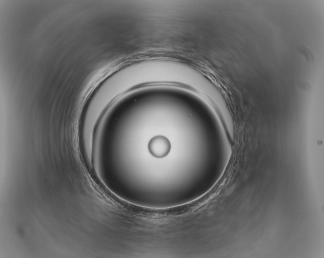 X0000112060293200908181204