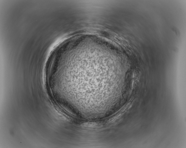 X0000112060294200908181204