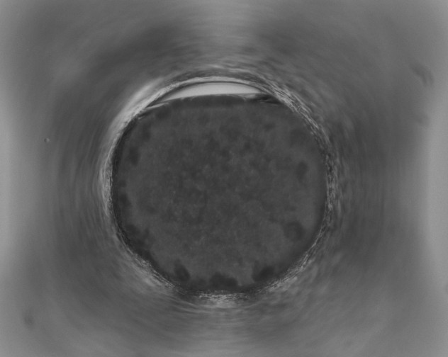 X0000112060295200908181204