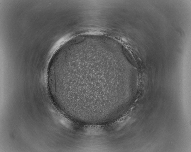 X0000112060296200908181204