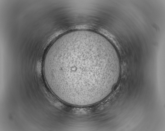 X0000112060297200908181204