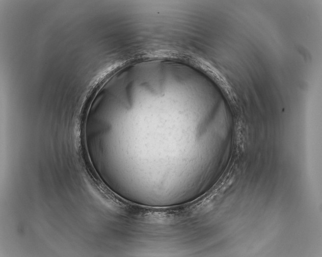 X0000112060298200908181204