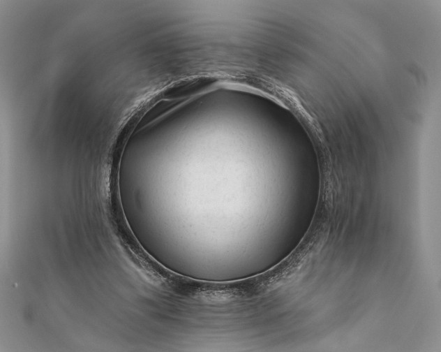 X0000112060299200908181204