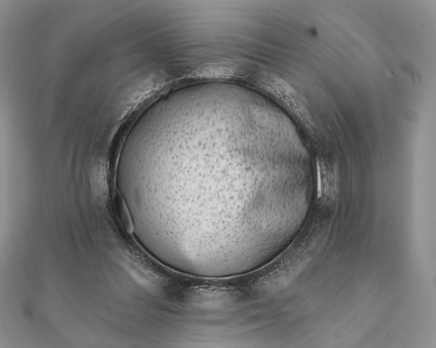 X0000112060300200908181204